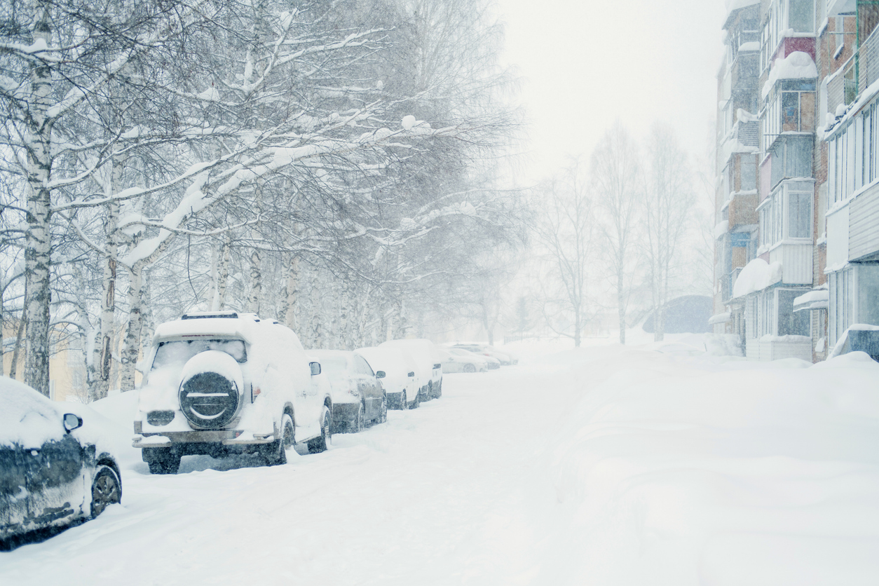 Snowy City