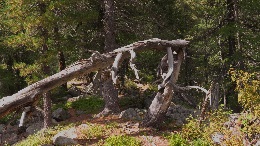 WelcometotheDavisCountyRecordersOffice