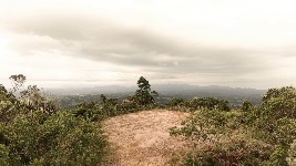 RecordingFeesandPaymentOptions